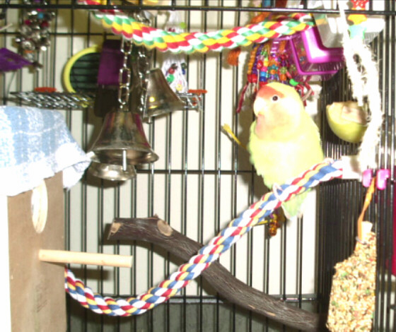Image of cldy3.jpg