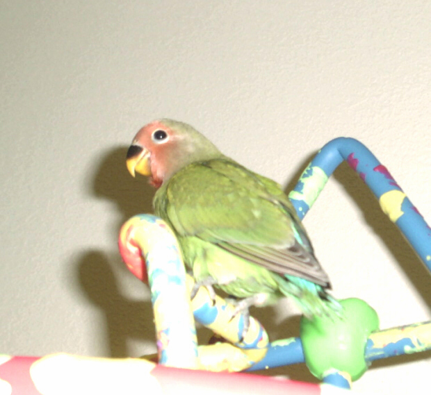 Image of sunny1.jpg